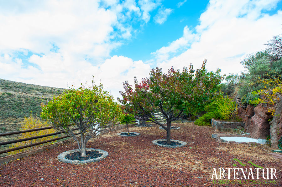 Casa cueva rural en Artenara , Gran Canaria